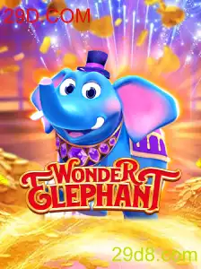 Descubra o Universo de WonderElephant